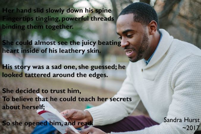 22291561_520125531682342_4328188093107309315_o